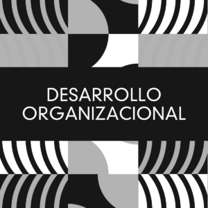 D. Organizacional